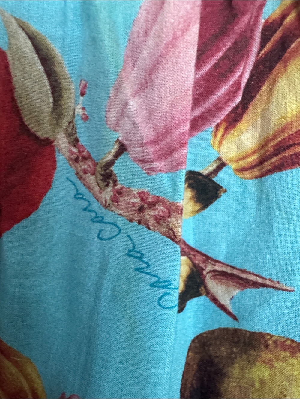 Cara Cara Aqua Tiered Maxi Skirt with Fruit Print - Picture 5 of 5